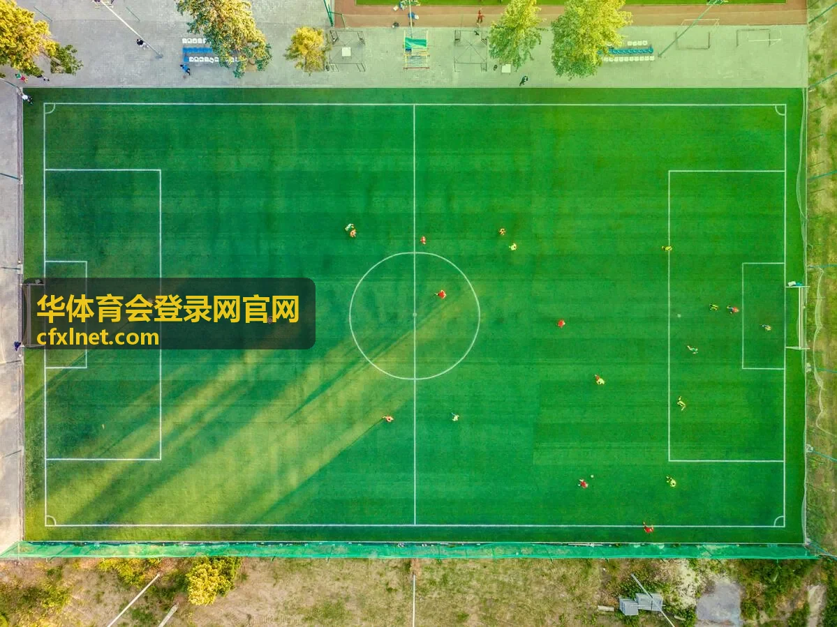 华体育会登录网官网私教课程 减脂周期定制训练